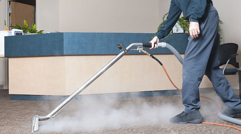 Professional Carpet Cleaning Services for Germ-Free Living