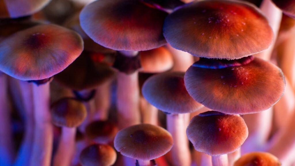 Psychedelic Journey