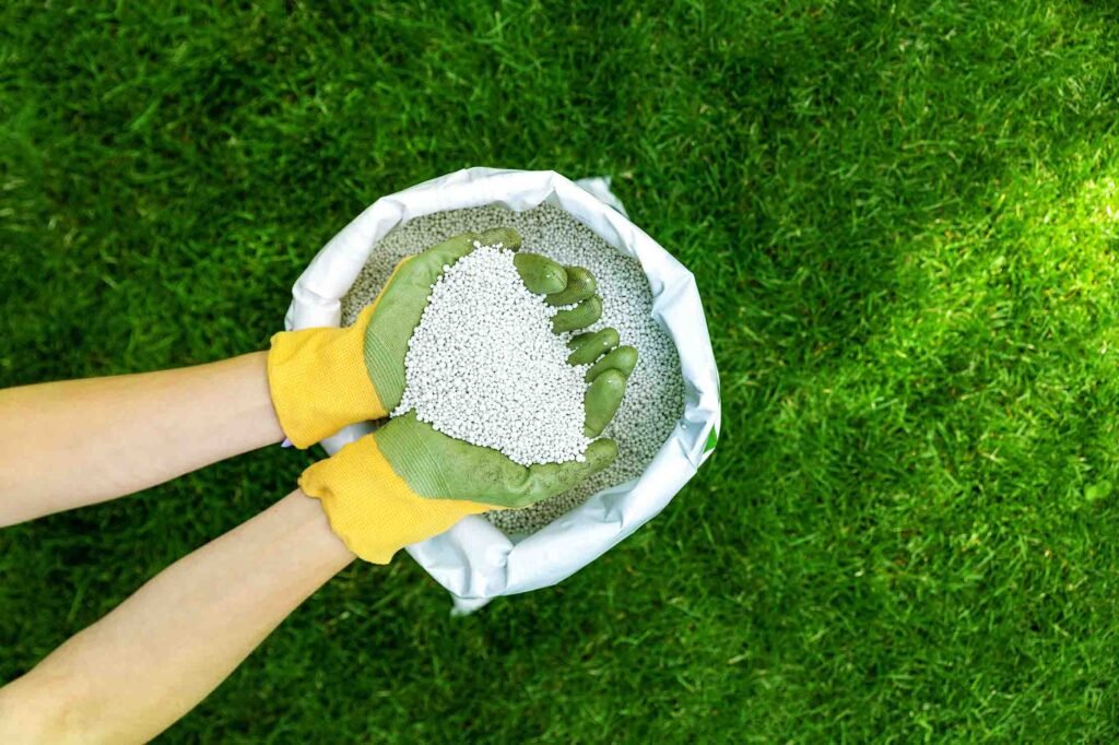 Organic Lawn Fertilizer