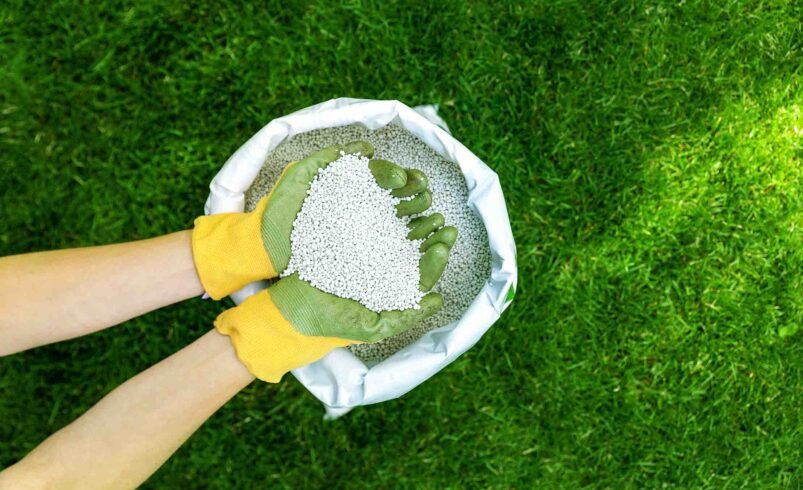 Organic Lawn Fertilizer Brands: Reviews and Recommendations