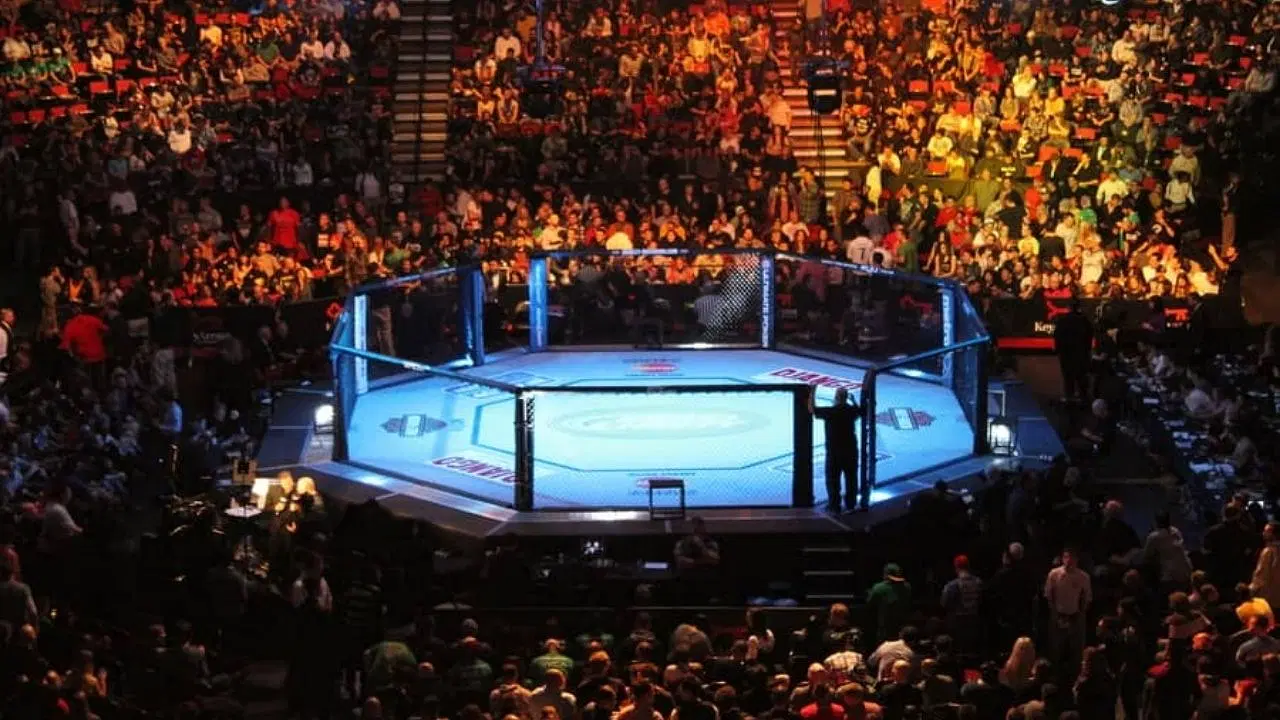 UFC Streams: Watch Every Fight Night for Free