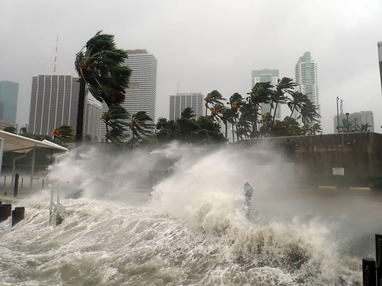 Understanding Storm Surge: Its Impact and How to Protect Your Home