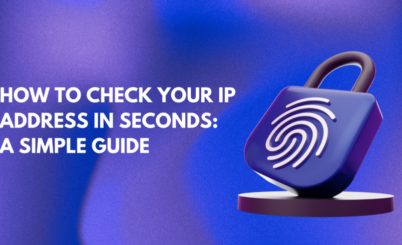 How to Check IP Address