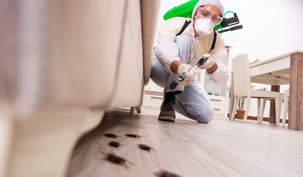 Pest Removal Tips
