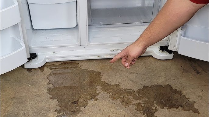 Refrigerator Leaks in Orlando: Identifying the Source and Preventing Water Damage