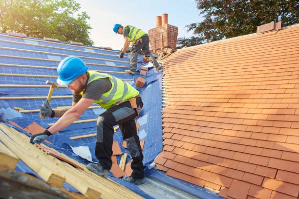 How to Increase Your Home’s Value with the Right Roof Replacement in Tampa Bay