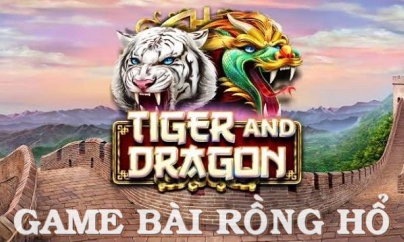 Dragon Tiger – Big Winning Tips From Betting Experts