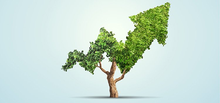 What’s the Smartest Way to Balance Speed and Stability in Growth?