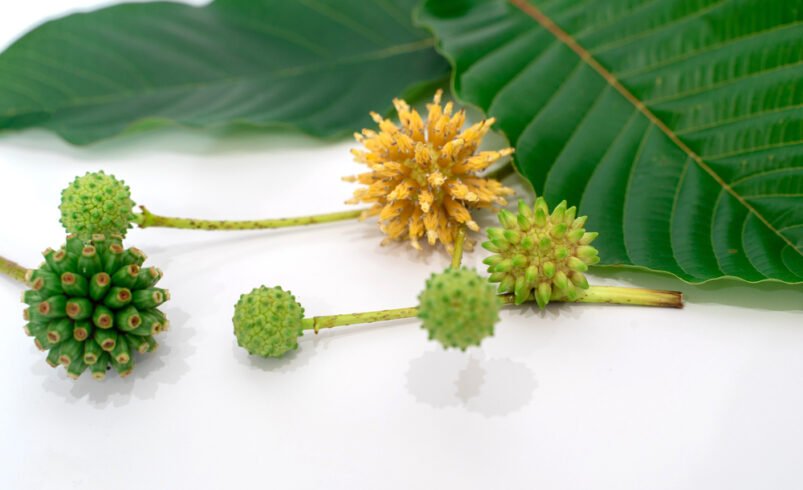 Kratom