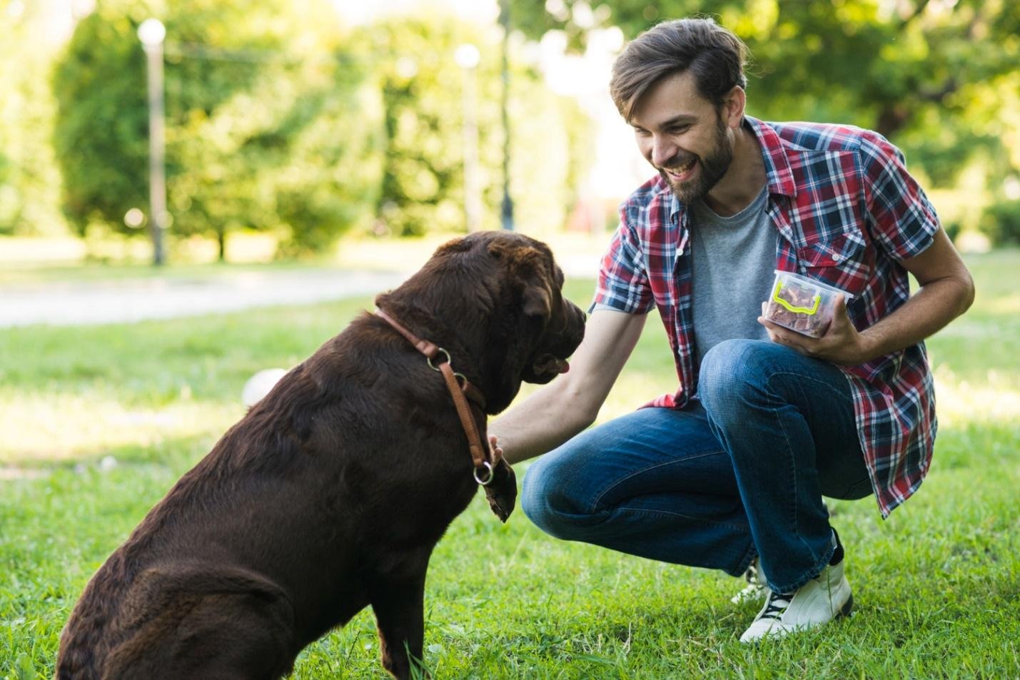 Top 5 Benefits of Hiring a Pooper Scooper Service for Your Yard