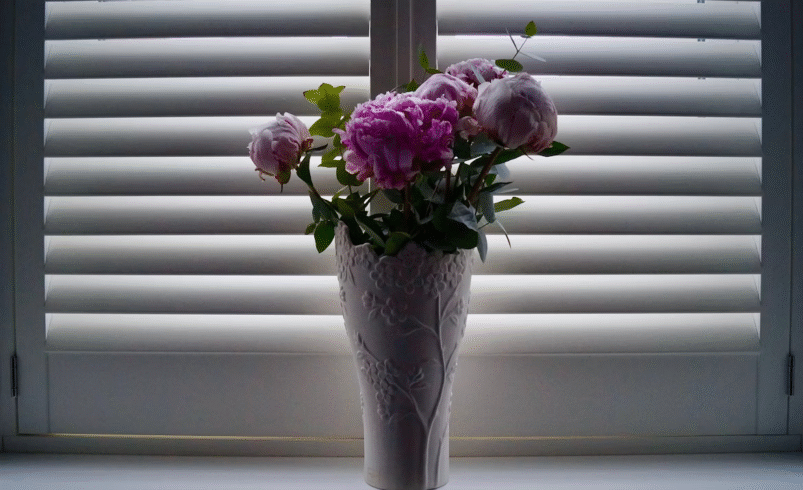 Custom Roller Shades