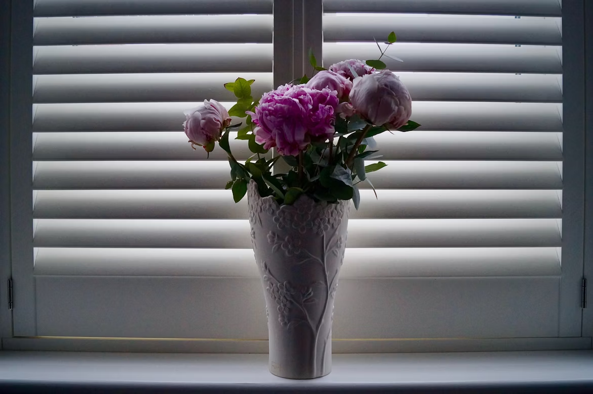 How Custom Roller Shades Transform Style, Comfort, and Privacy