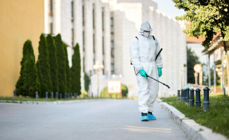 Seasonal Pest Control