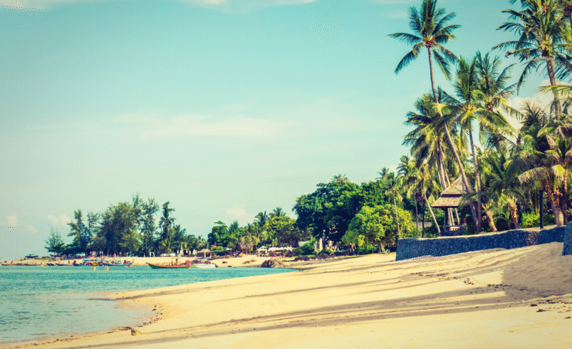 10 Most Beautiful Beaches You Should Explore in India