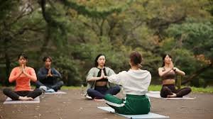 Mindfulness and Holistic Wellness