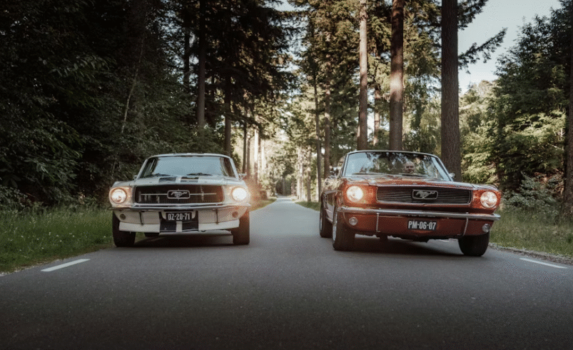 Shelby-Badged Mustangs