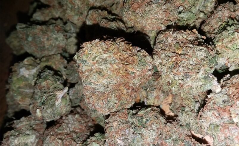 Afghan Kush