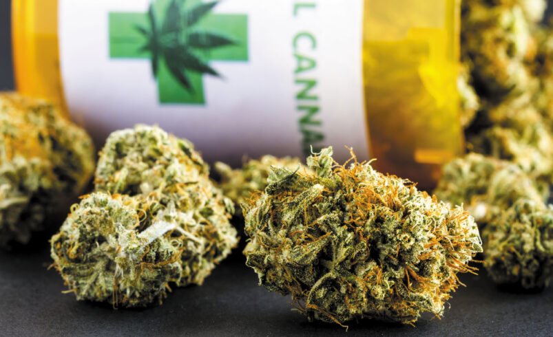 Cannabis Strains for Pain Relief