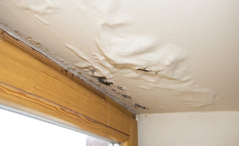 Water Damage in 2026: Why Faster Response Matters More Than Ever